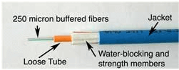 Image of loose tube cables showing the 250 micron buffered fibers, loose tube, water-blocking and strength members and jacket for a loose tube cable.