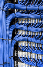 Structured cablling by Milestone Communications.